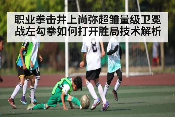 职业拳击井上尚弥超雏量级卫冕战左勾拳如何打开胜局技术解析